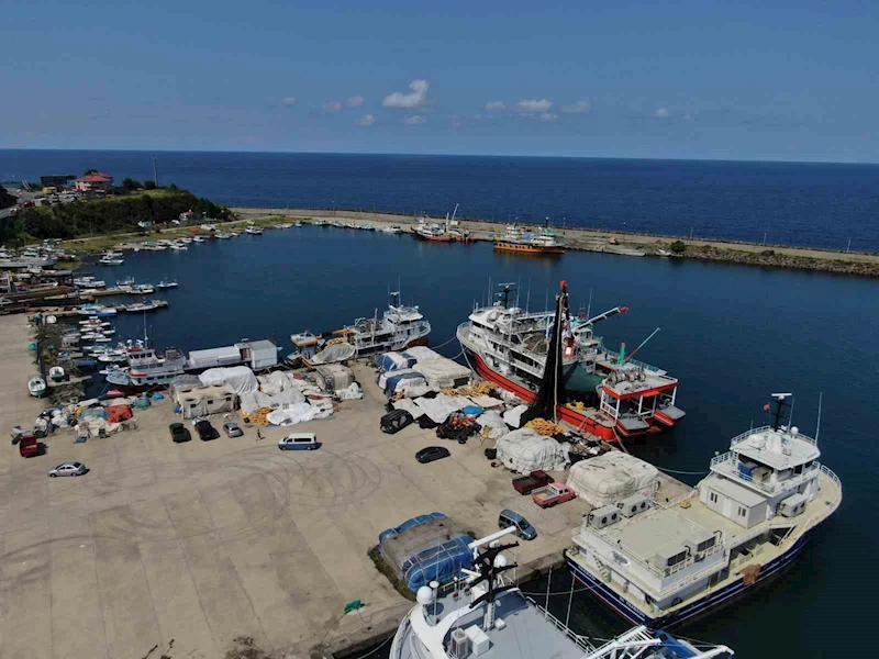 Palamut nereye onlar oraya
