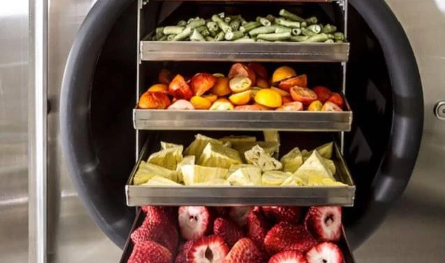 Liyolife:Yüksek Performanslı Freeze Dry Ürünleriyle Sizlerle