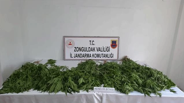 Kenevir operasyonu yapıldı