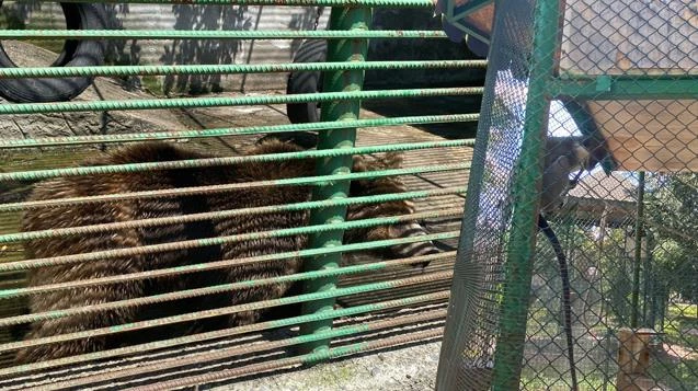 Fabrika içinde dev hayvanat bahçesi