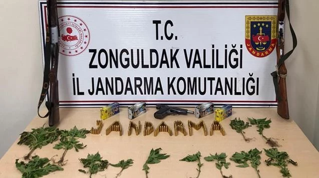 Jandarma’dan kenevir operasyonu...