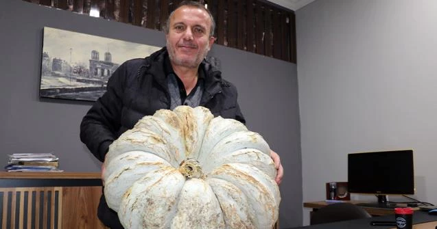 Gençlere örnek oldu kabak ekti 200 bin TL gelir elde etti