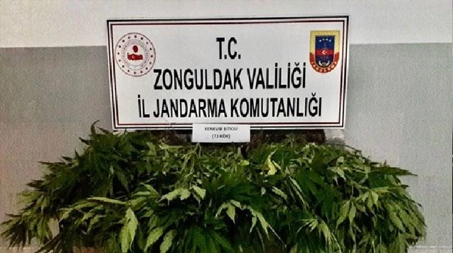 Uyuşturucu operasyonu:3 gözaltı