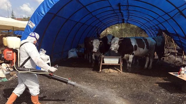 Kurban kesim fiyatları ve satış yerleri belirlendi
