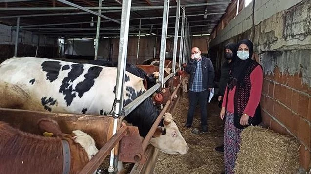 Hayvanlar aşılandı