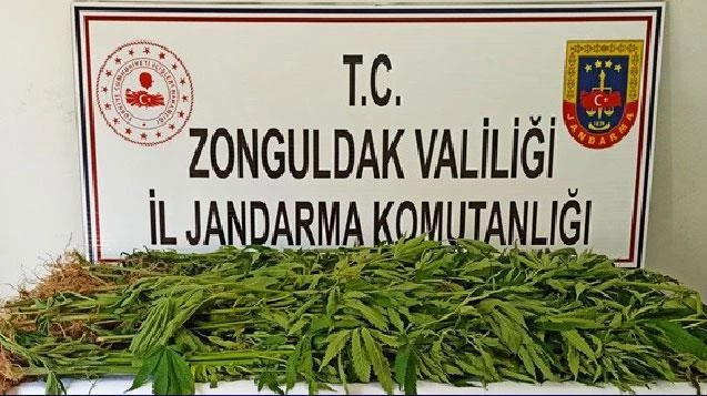 Jandarma ekiplerinden uyuşturucu operasyonu