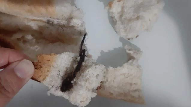 Ekmeğin içinden çıkanlar vatandaşları şok etti...