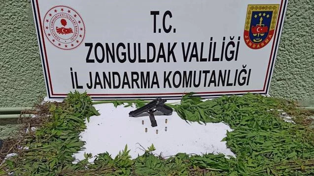 Jandarma ekiplerinden uyuşturucu operasyonu