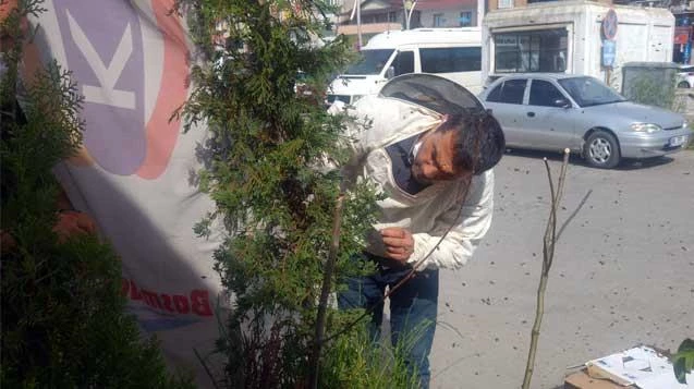 Kovandan kaçan arılar vatandaşları korkuttu