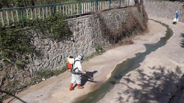 Sivrisineklere karşı ilaçlama çalışmaları başladı