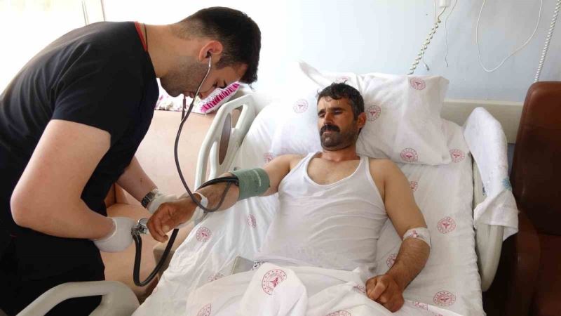 Kurbanlık seçerken hayvan tepti: Ambulans helikopterle Van’a getirildi